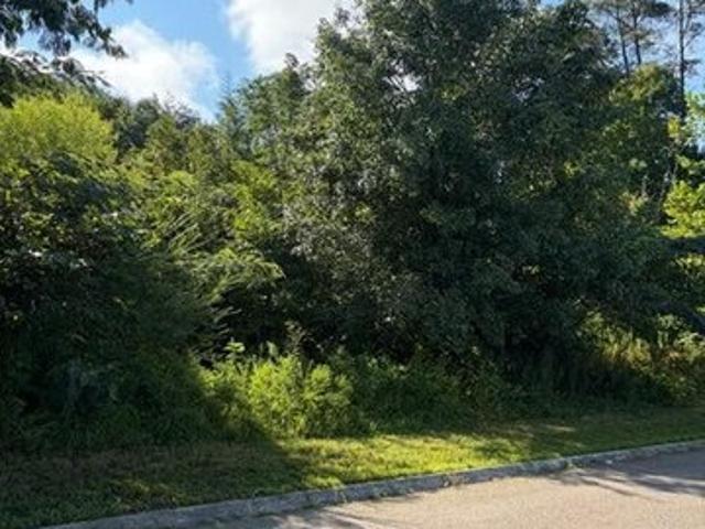 Land for sale in Tennessee
