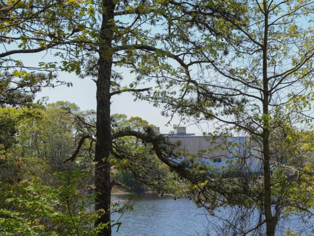 Commercial for sale in Barnstable, Massachusetts