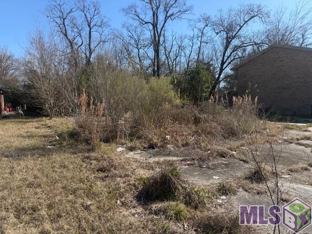 Land for sale in Baton Rouge, Louisiana