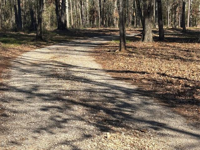 House for sale in Lovelady, Texas