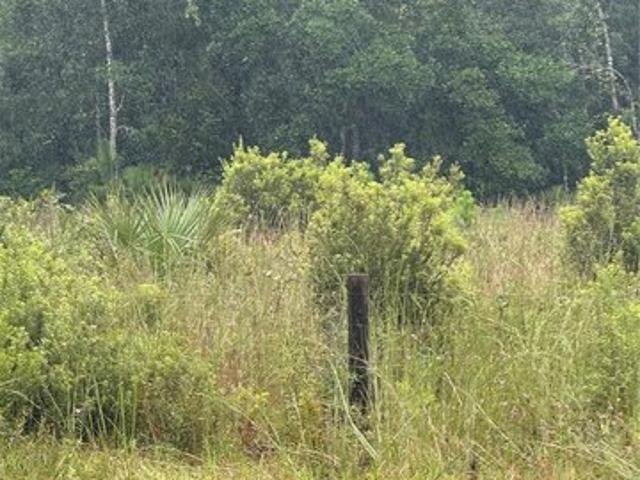 Land for sale in Pierson, Volusia County