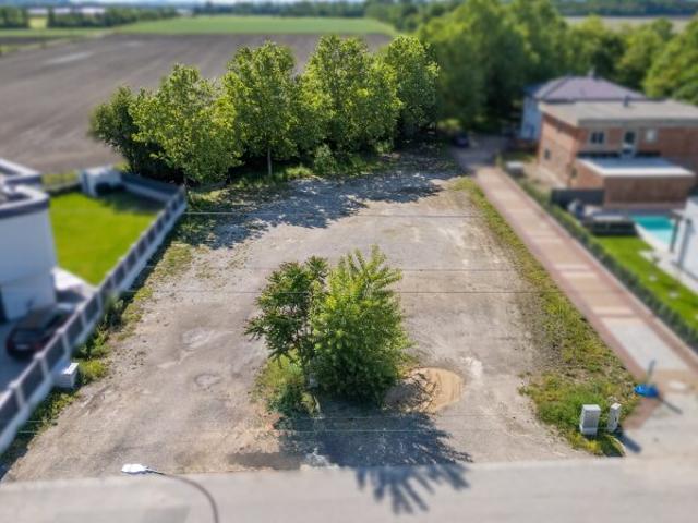 Grundstück kaufen in Schwadorf, Niederösterreich