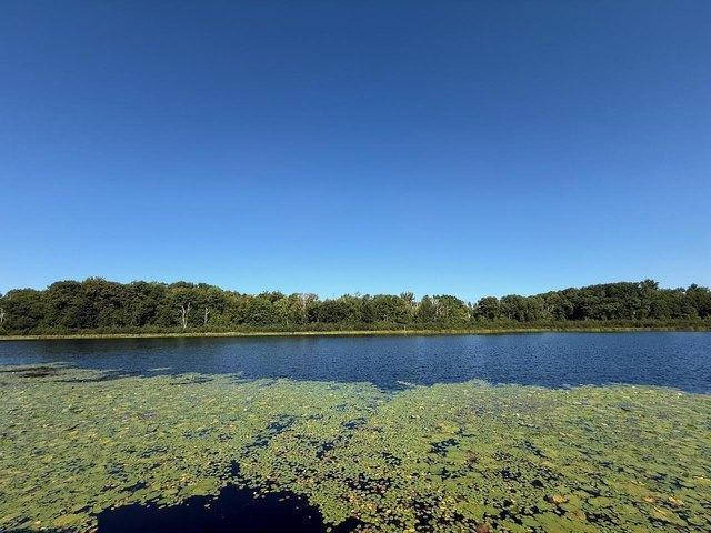 Land for sale in Willow River, Minnesota