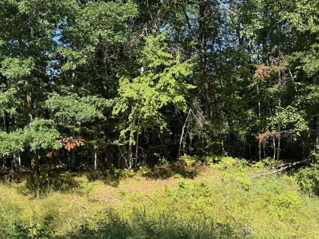 Land for sale in Minnesota