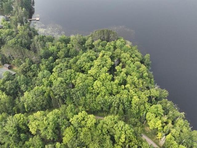 Land for sale in Vilas, Wisconsin