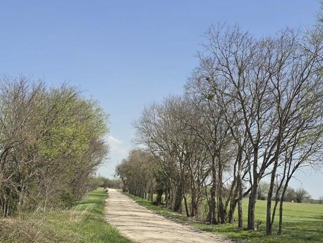 Land for sale in Navarro, Texas