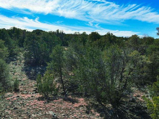 Land for sale in Williams, Arizona