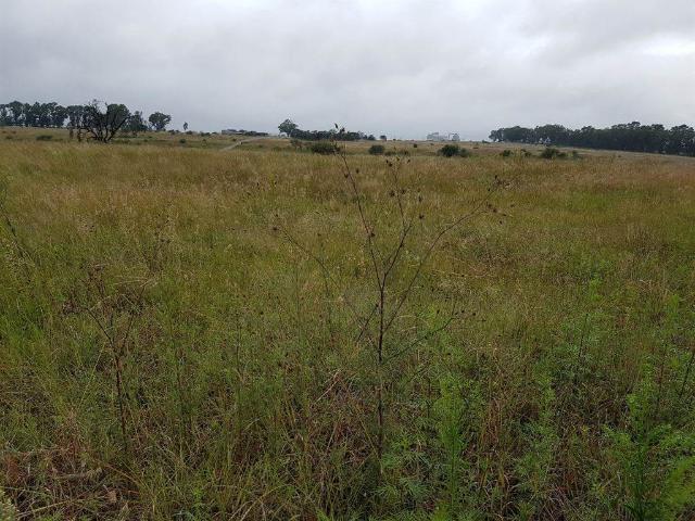 Land for sale in Koppies, Free State