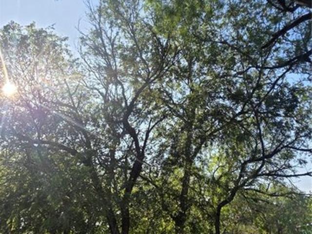House for sale in Seguin, Texas