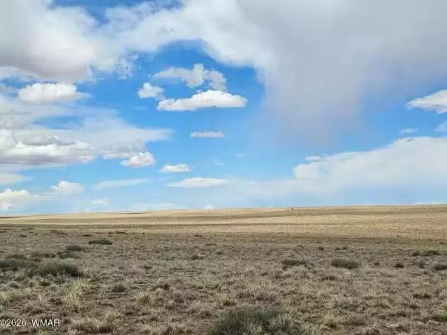 House for rent in Navajo, Arizona