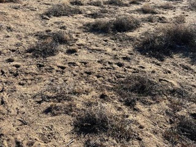 Land for sale in Silver Springs, Nevada