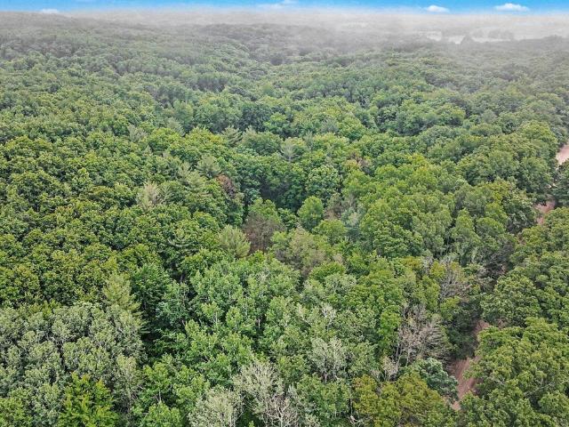House for sale in Chase, Michigan
