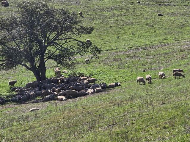 Farm for sale in Groot Brak Rivier, Western Cape