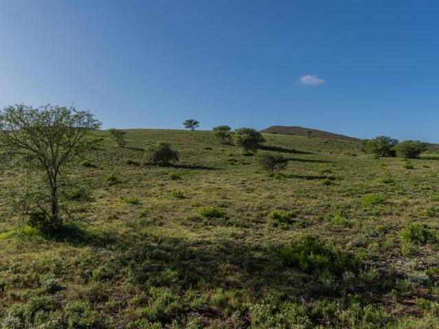 Farm for sale in Groot Brak Rivier, Western Cape