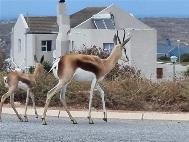 Land for sale in Western Cape