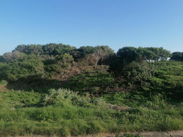 Land for sale in Cape St Francis, Eastern Cape