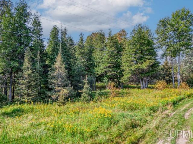 Land for sale in Rapid River, Michigan