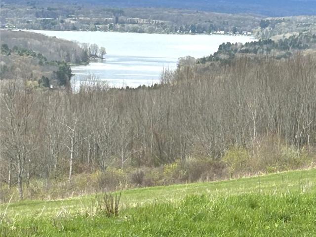 House for sale in Caneadea, New York