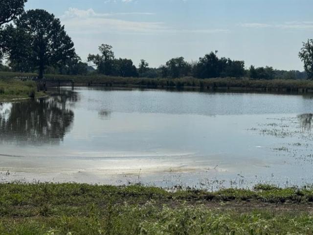 House for sale in Titus, Texas