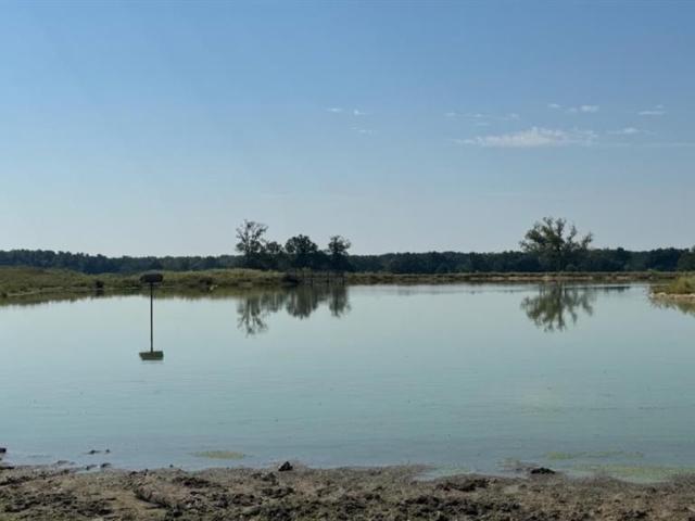Land for sale in Franklin, Texas