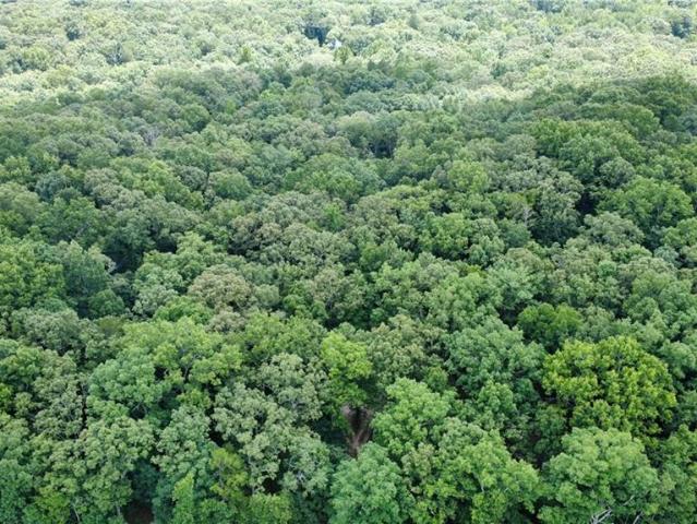 Land for sale in White, Georgia