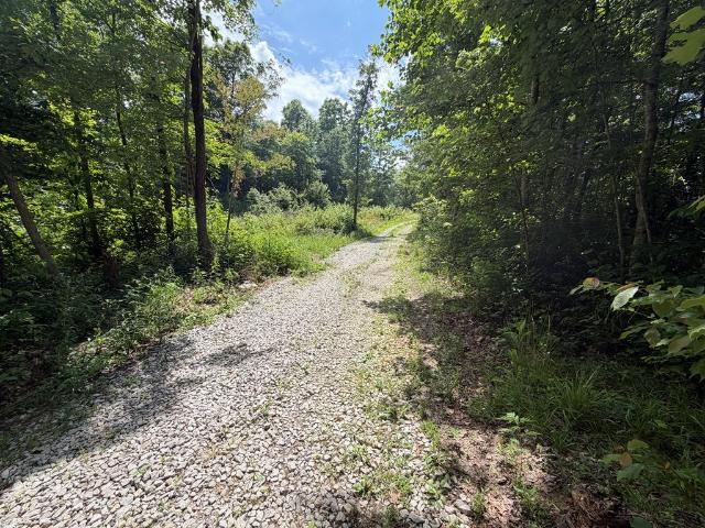 Land for sale in Tennessee
