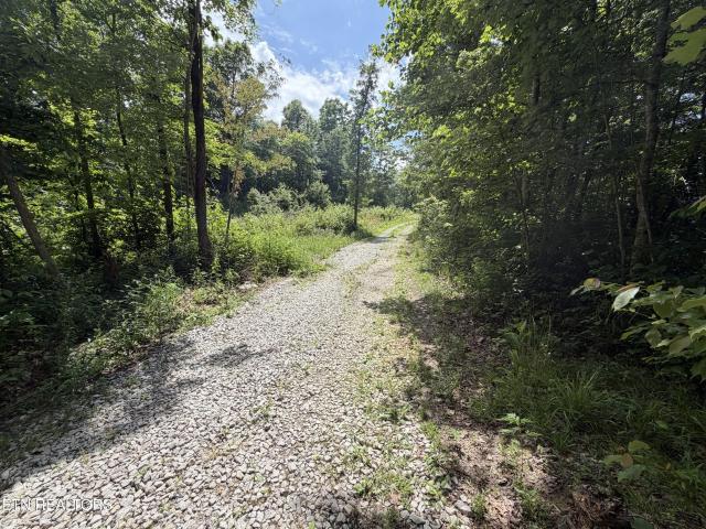 Land for sale in Tennessee