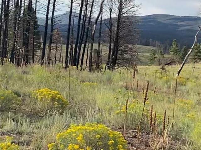 Land for sale in Fort Garland, Colorado