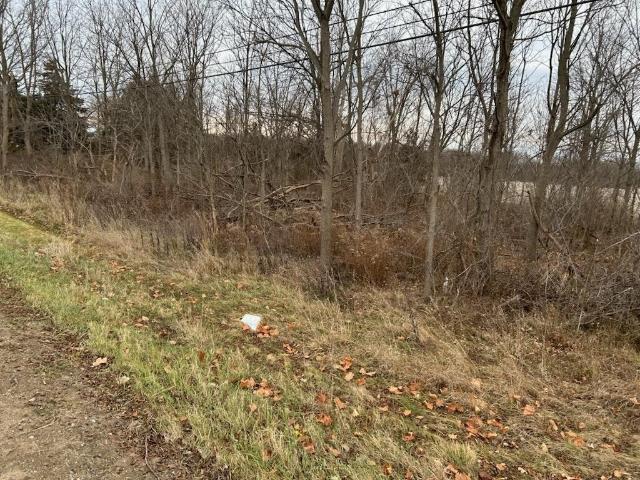Land for sale in Michigan
