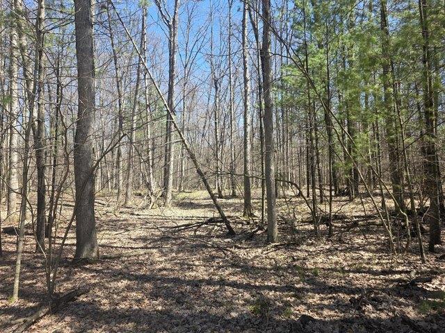 Land for sale in Newaygo, Michigan