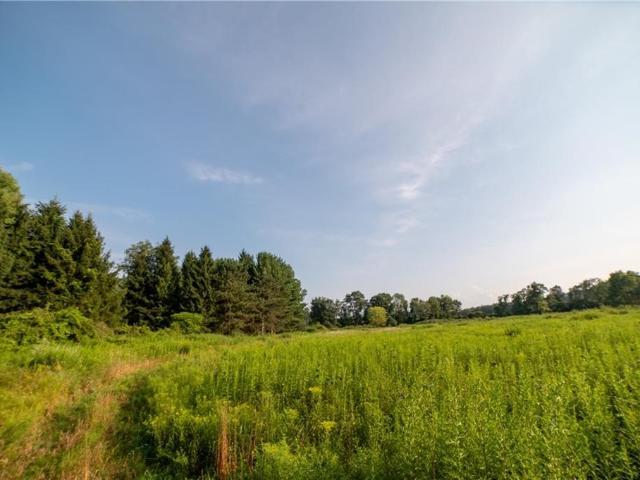 Land for sale in Mount Upton, New York