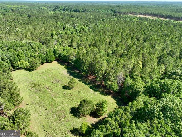 House for sale in Dodge, Georgia