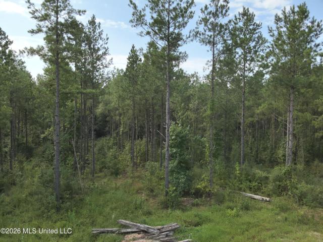Land for sale in Jefferson Davis County, Mississippi
