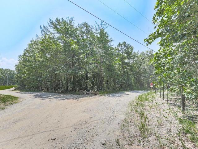 Land for sale in Waleska, Georgia