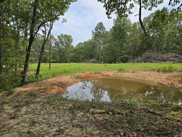 Land for sale in Norwood, Missouri