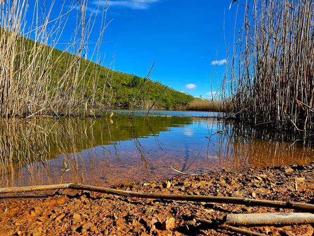 Farm for sale in Robertson, Western Cape