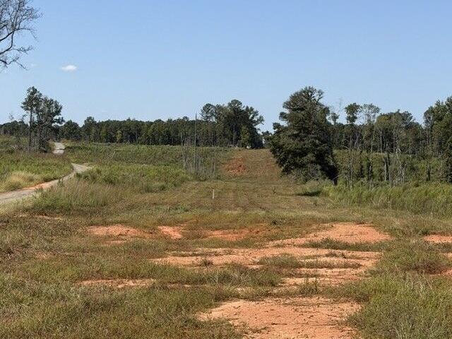 Land for sale in Talbotton, Talbot County