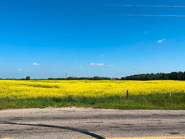 Land for sale in Red Deer