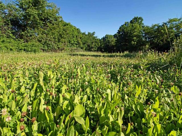 Land for sale in Blue River, Wisconsin