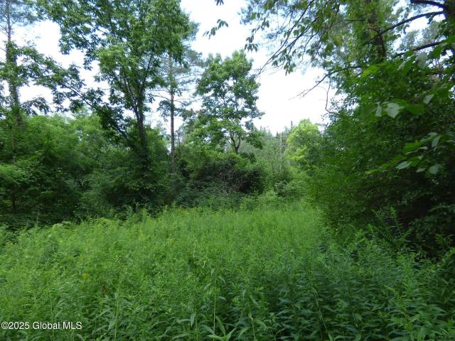 Land for sale in Ballston Lake
