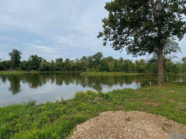 Land for sale in Cedar Bluff, Alabama