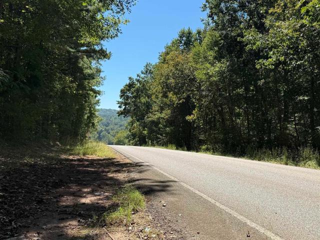 Land for sale in Bell Mills, Heflin