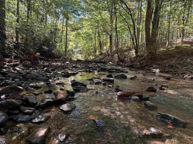 Land for sale in Heflin, Cleburne County