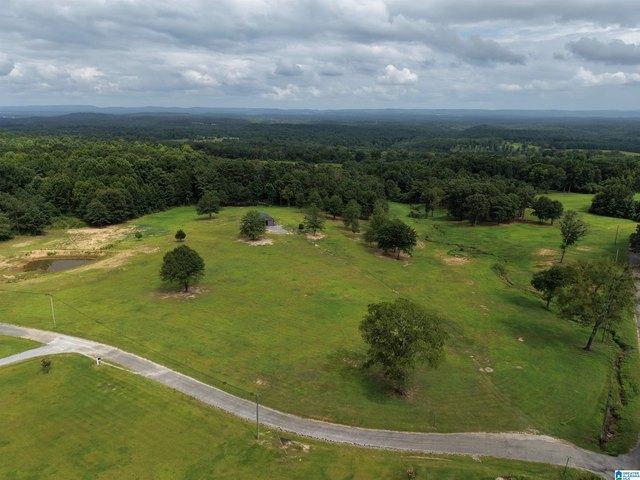 Land for sale in Blount, Alabama