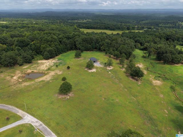 Land for sale in Blount, Alabama