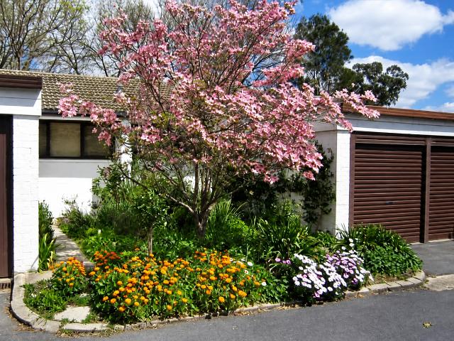 House for rent in Canberra, Australian Capital Territory