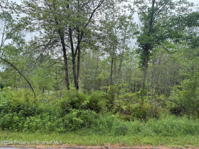 Land for sale in Lake Ariel, Pennsylvania