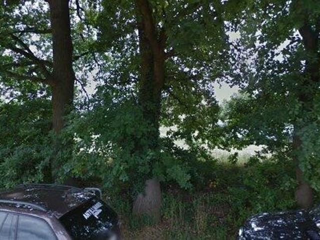 Bureau vente à Limburg