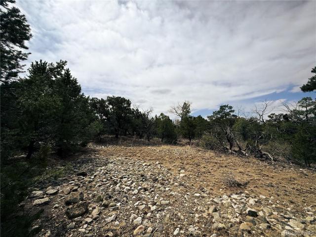 Land for sale in Colorado