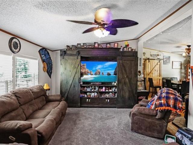 House for rent in Bailey, Colorado